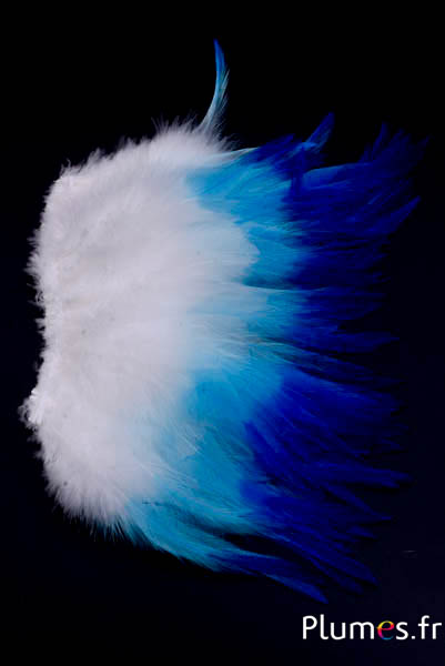 Frange coq - long. plumes 10-15 cm - blanc-turquoise-bleu nuit